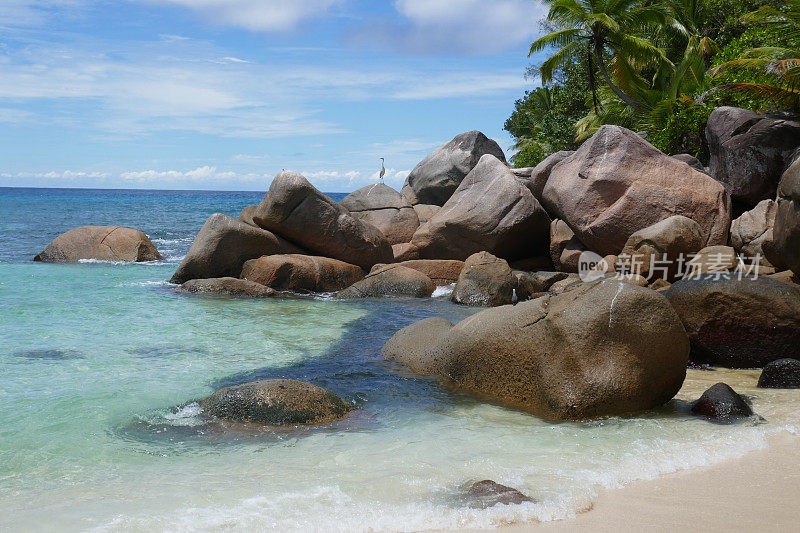 Anse Kerlan，普拉林，塞舌尔